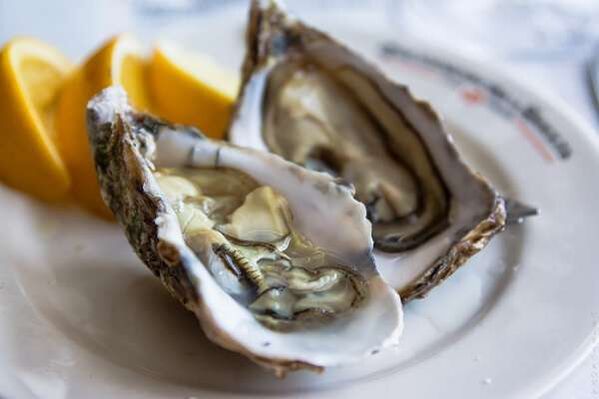 oyster to increase potency